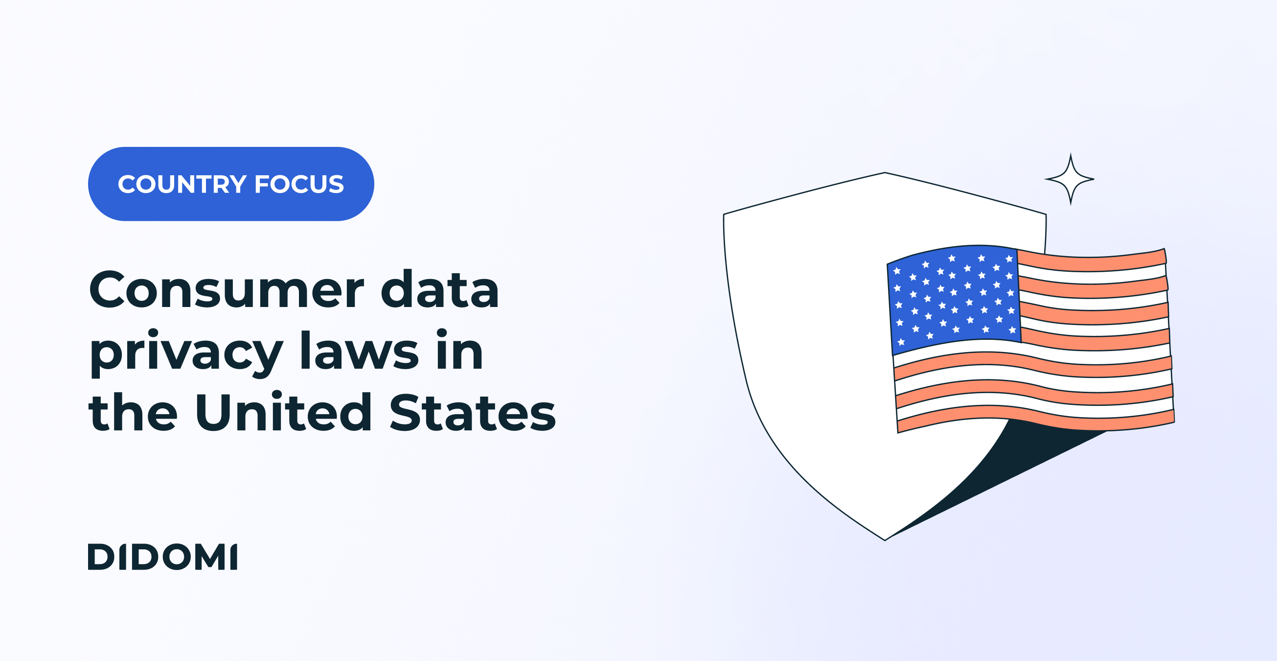 Featured image of a blog post on consumer data privacy laws in the United States, along with a flag of the USA and the label "Country Focus"