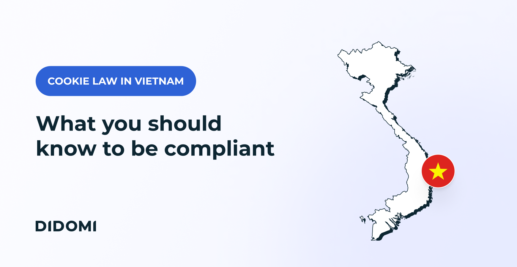 Vietnam data privacy law (PDPD): everything you need to know