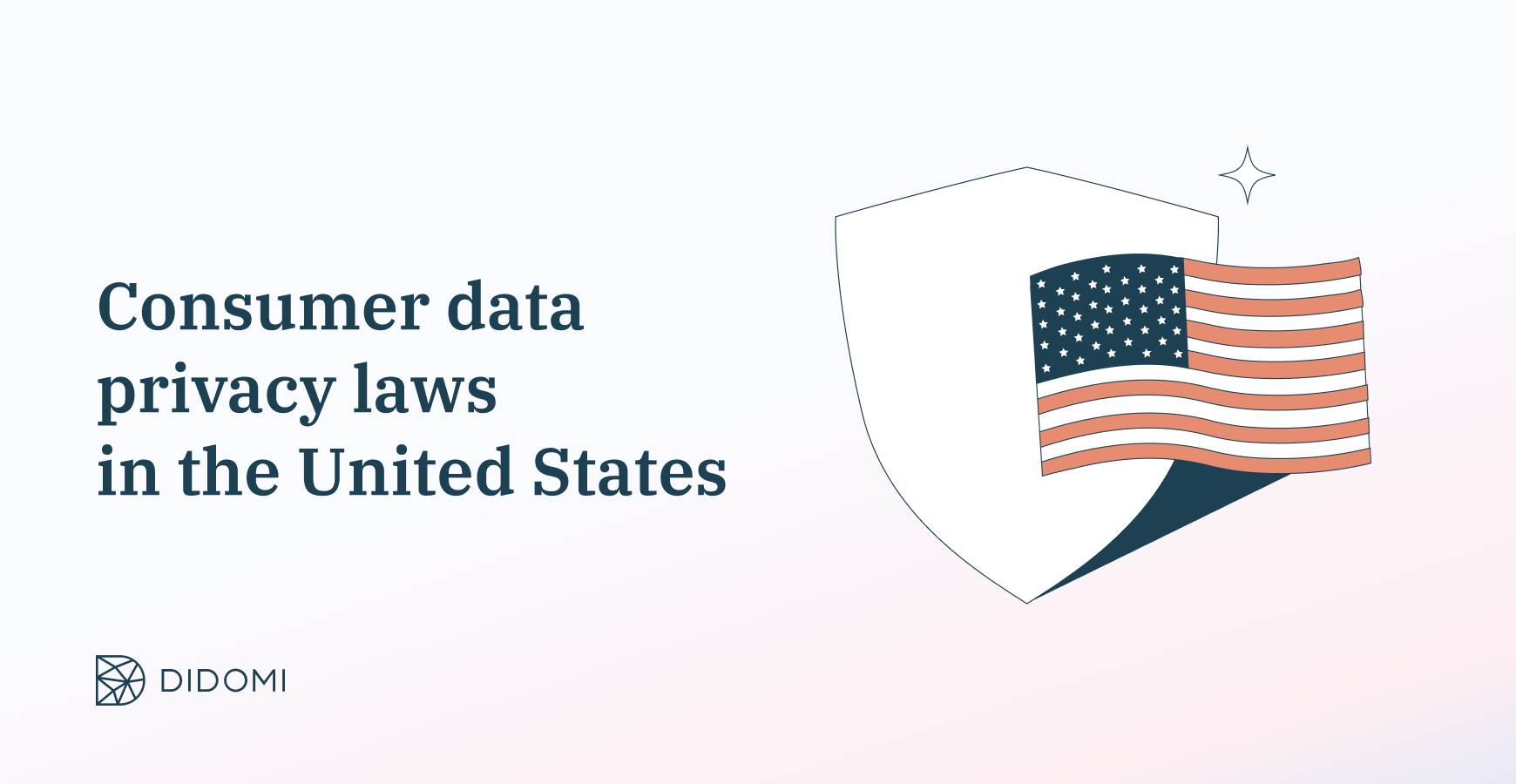 Data privacy laws in the United States